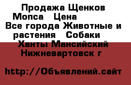 Продажа Щенков Мопса › Цена ­ 18 000 - Все города Животные и растения » Собаки   . Ханты-Мансийский,Нижневартовск г.